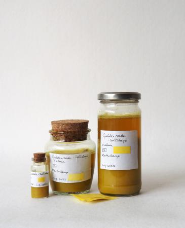  COLLECTING COLOUR - Botanische inkt van de Guldenroede 