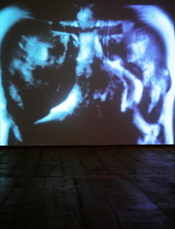Cyber Story – Inner Body  Cyber Story – Inner Body