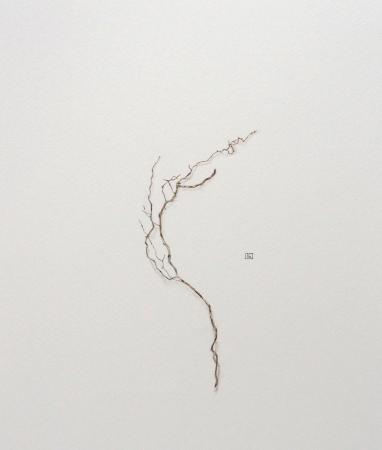  ABOUT ROOTS - zwerfwortel aquarelle