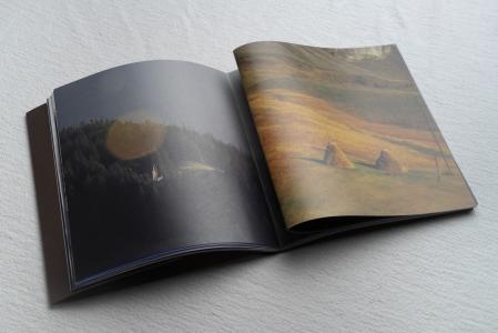  The Landscape Assembles as We Gaze