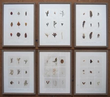  THE POETRY OF THINGS