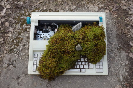  Microclimates Take Over