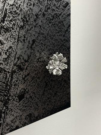  ECHOES ON POROUS GROUND