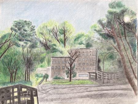  "Habitat Lost" series