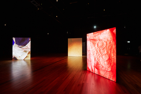  Eerst Zien dan Geloven