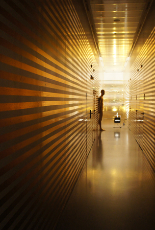  PROJECT 000 005 - 'His Majesty Prefers Pigs'