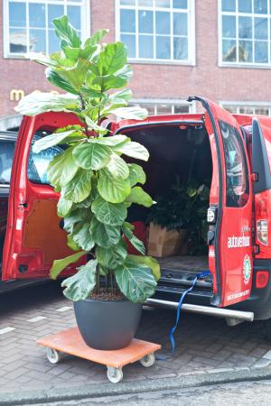  Acts of Opening #2: Kunst_Planten