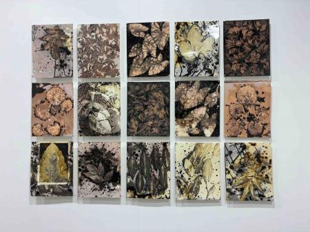  Grantangi plant medicine