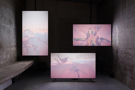  Sphagnum Time (Braiding Fates)