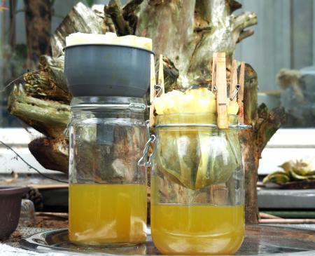  COLLECTING COLOUR Lake Pigment proces, filteren  