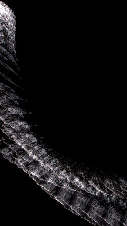  Poison Lolly - Vertical Visuals