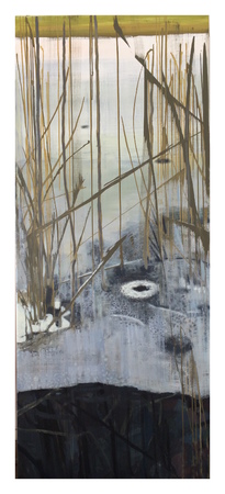  Bevroren oever met riet3/expansie 4