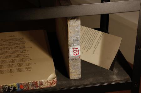  What Kinds Of Times Are These When, To Talk About Trees Is Almost A Crime, 2021