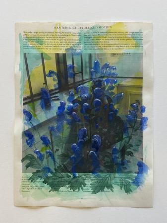  Monkshood