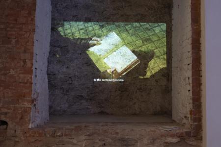  Can Dormant Seeds Bloom?