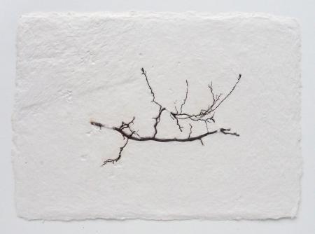  ABOUT ROOTS - Zwerfwortels