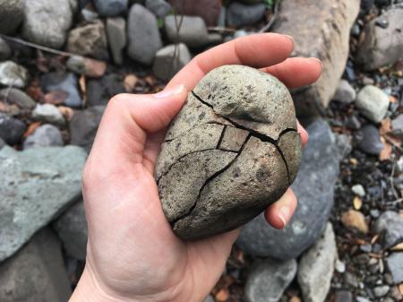  Research 'Black Earth' project