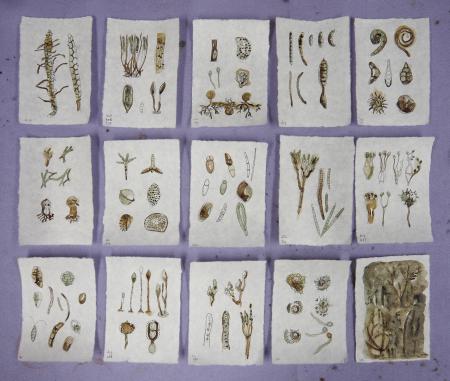  ABOUT FUNGI - Inspiratie bookje