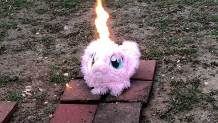  The Spirit is willing but the Flesh is Furry