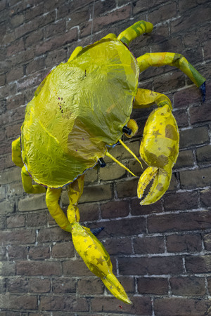 A Plastic Crap Crab, Is this the Oceans Future!  A Plastic Crap Crab, Is this the Oceans Future!
