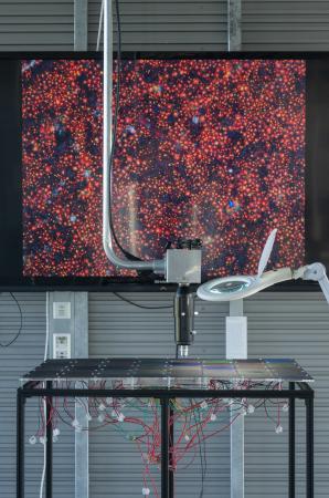  ‘ex.citable inter.faces’