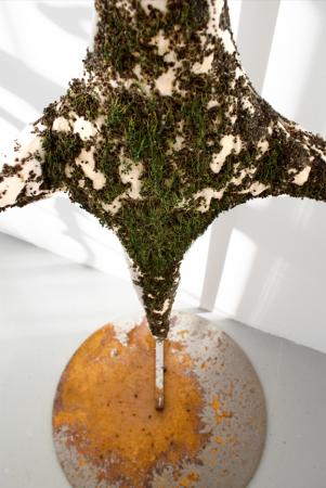  Alchemical Entanglements