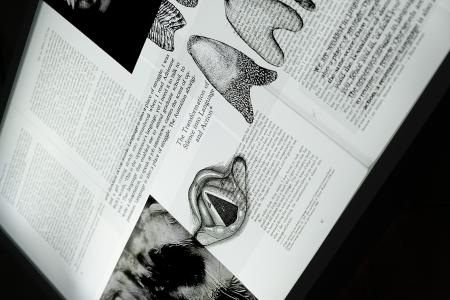  Installation view of 'Spirits talks #1'