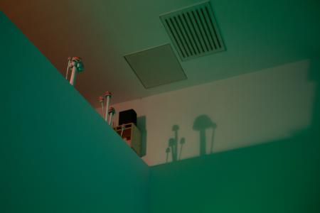  First it sleeps, second it creeps, third it leaps