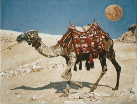  Kameel met rode planeet