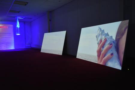  All was ocean! All was joy! (Or, How the Humans Broke the Ocean's Heart)