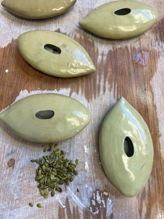  Pumpkin Seeds