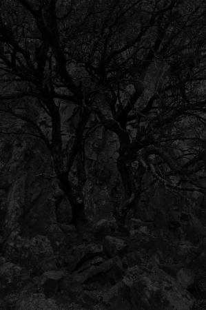  Absence - Cabaneros