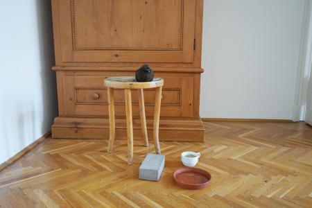 Portret van Katinka   Portret van Katinka