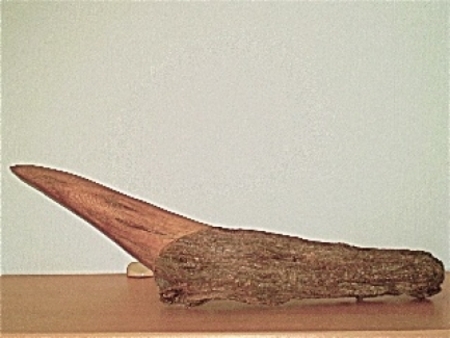  Neushoornslak