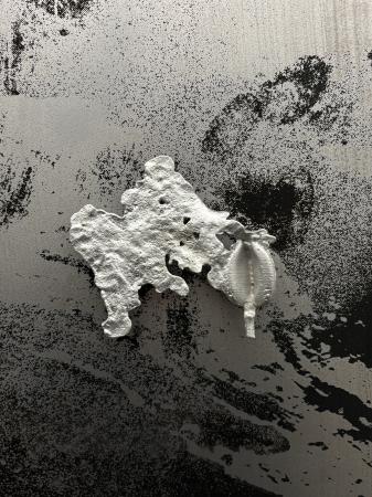  ECHOES ON POROUS GROUND