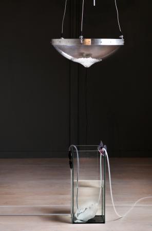  Intangible Loophole, Larvae No1