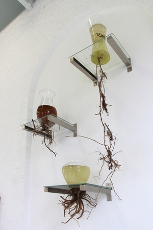  Radix Alchemia (2016)