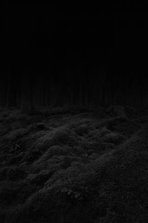  Absence - Ardennen