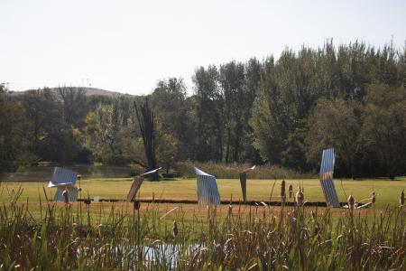  The structure of things to come: The favor of survival (2025)