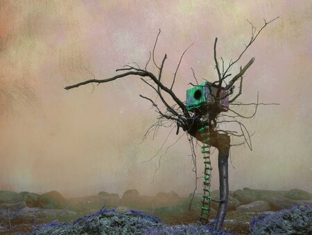  Treehouse Tales - Lost and Found series