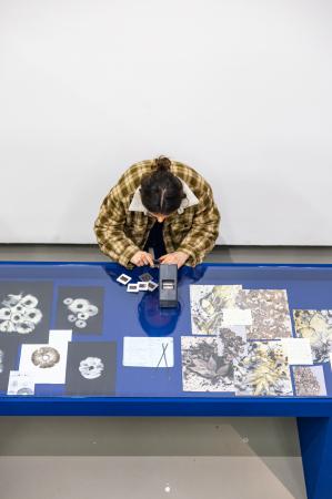 Grantangi Plant Medicine  Grantangi Plant Medicine