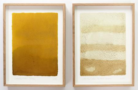  COLLECTING COLOUR - Colourfields met botanische inkt 