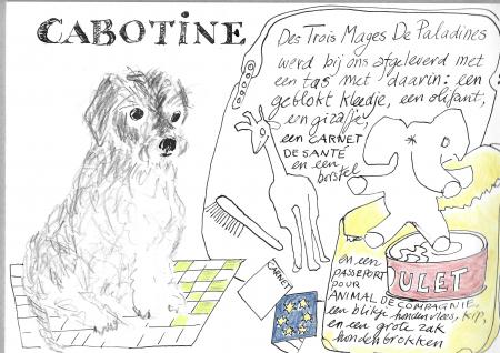  Cabotine