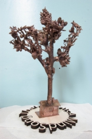  TransformationForestTree:home sweet home