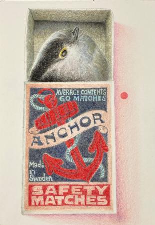 singularity-birdie in a matchbox 3  singularity-birdie in a matchbox 3