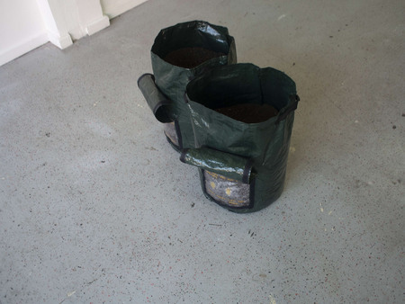  Paintings are not like potatoes, they don't like the dark