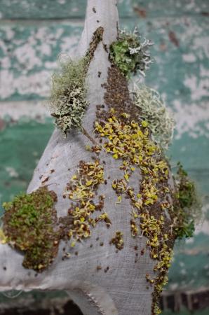  blimp, toot, jingle, fizz!