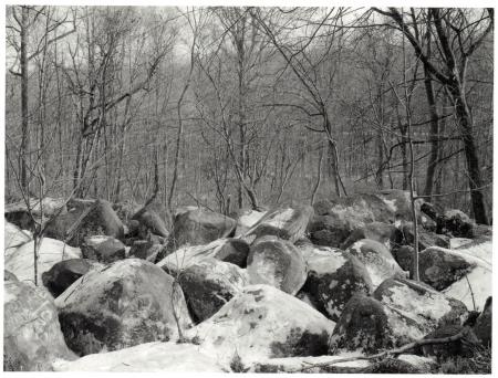  Boulder Field