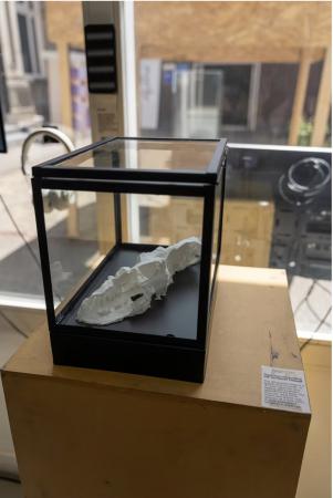  Gefossiliseerde ruimte