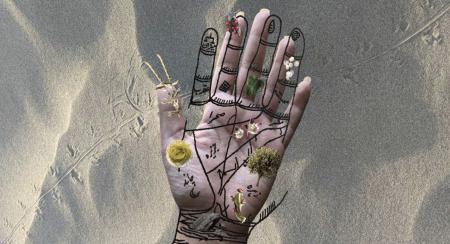  A Garden Among the Flames!